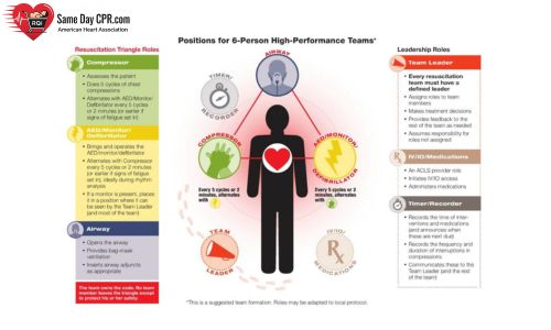 Resuscitation Triangle Roles in an ACLS High-Performance Team
