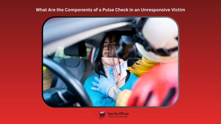 components-of-a-pulse-check-in-an-unresponsive-victim