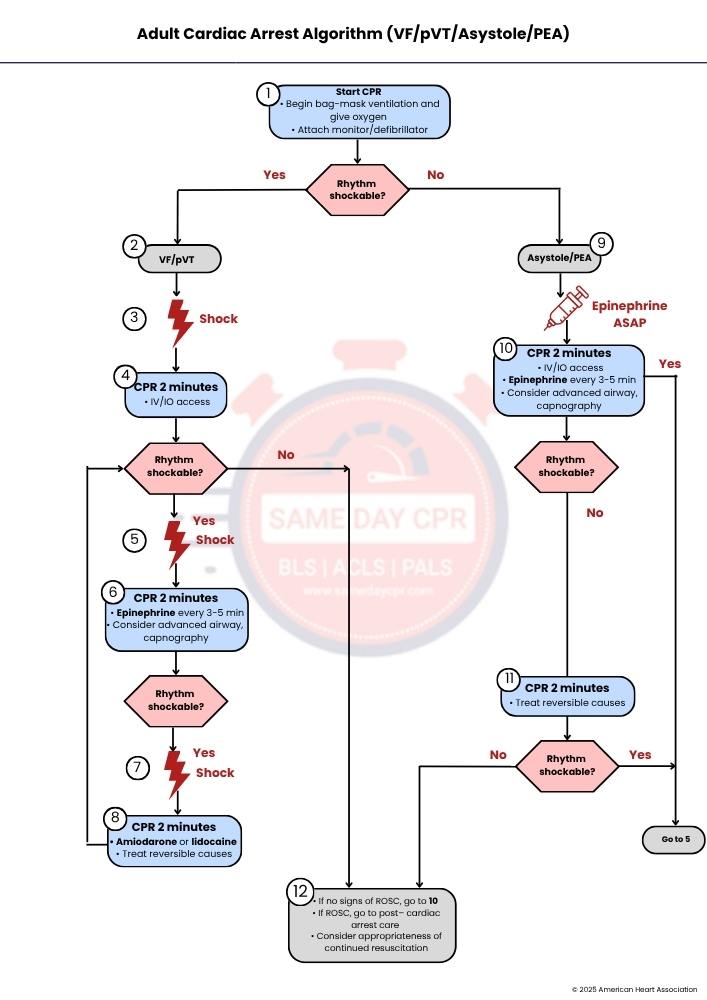 adult-cardiac-arrest-algorithm