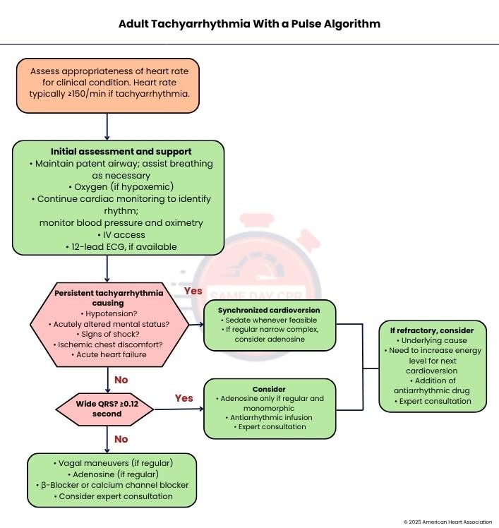 adult-tachyarrhythmia-algorithm