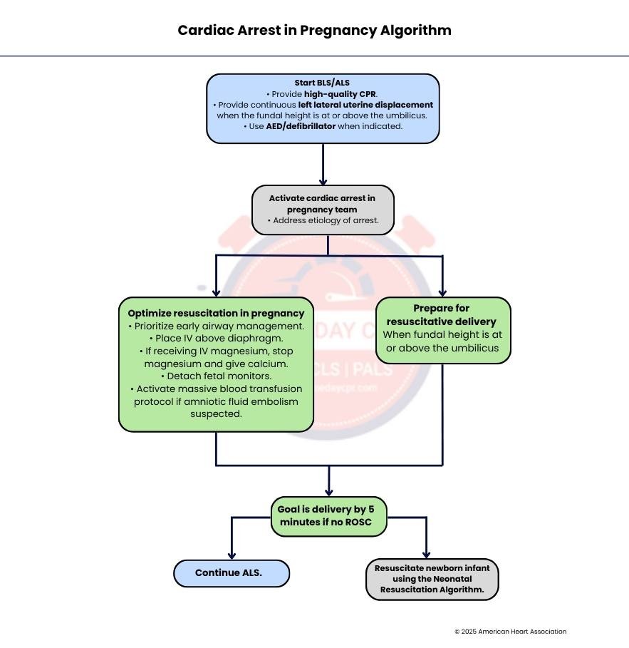cardiac-arrest-pregnancy-algorithm