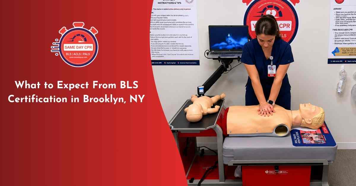 what to expect from bcls certification in brooklyn